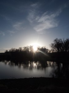 dog swim, sun, sunset 084