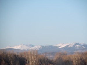 dog swim, sun, sunset 091