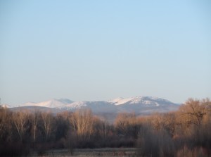 dog swim, sun, sunset 106