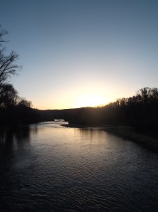 dog swim, sun, sunset 148