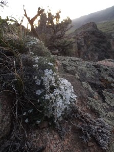 evening sunset, moon rise 5-24 012