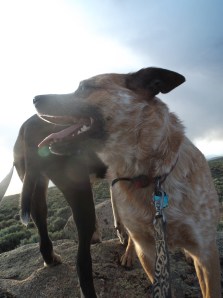 evening at bambi's 004