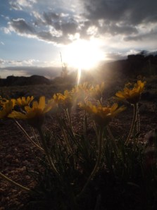 evening at bambi's 017