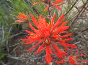 evening at bambi's 059