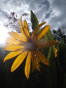 sundays are for riding 022