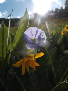 sundays are for riding 033