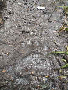 ok maybe I wasn't alone....