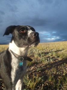 rainbow walk 9-15 011