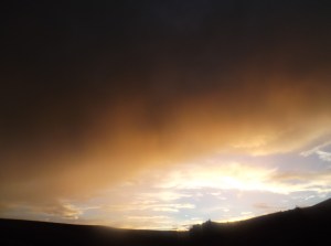 rainbow walk 9-15 058