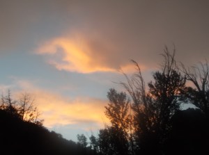 rainbow walk 9-15 078