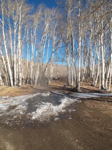 frozen water...oh yeah it is November!