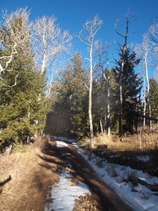 saturday ride 11-9 031