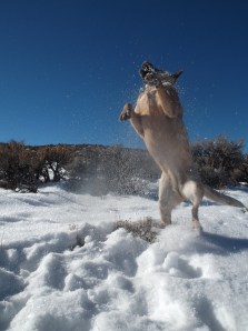 come on...smile...snow is Fun!