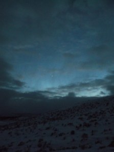 dogs, snowbike ride 12-21, 12-22 013