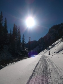 warm sunshine can be simple perfection  