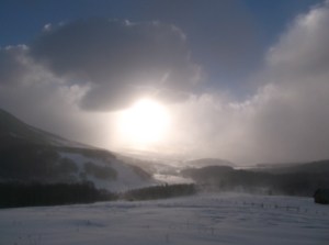 swampy tour 1-1-14 012