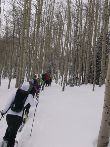 swampy tour 1-1-14 015