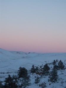 snowshoe stomp 2-1-14 048
