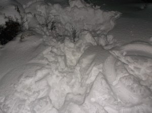 Pigsley and Jefe Print