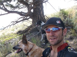 dog hike 7-19-14 012