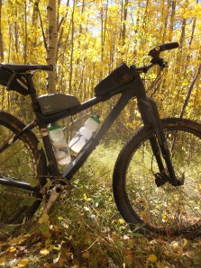 oh Tranny how I love thee...