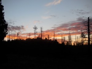 Sunrise on the last morning, Tarryall detour