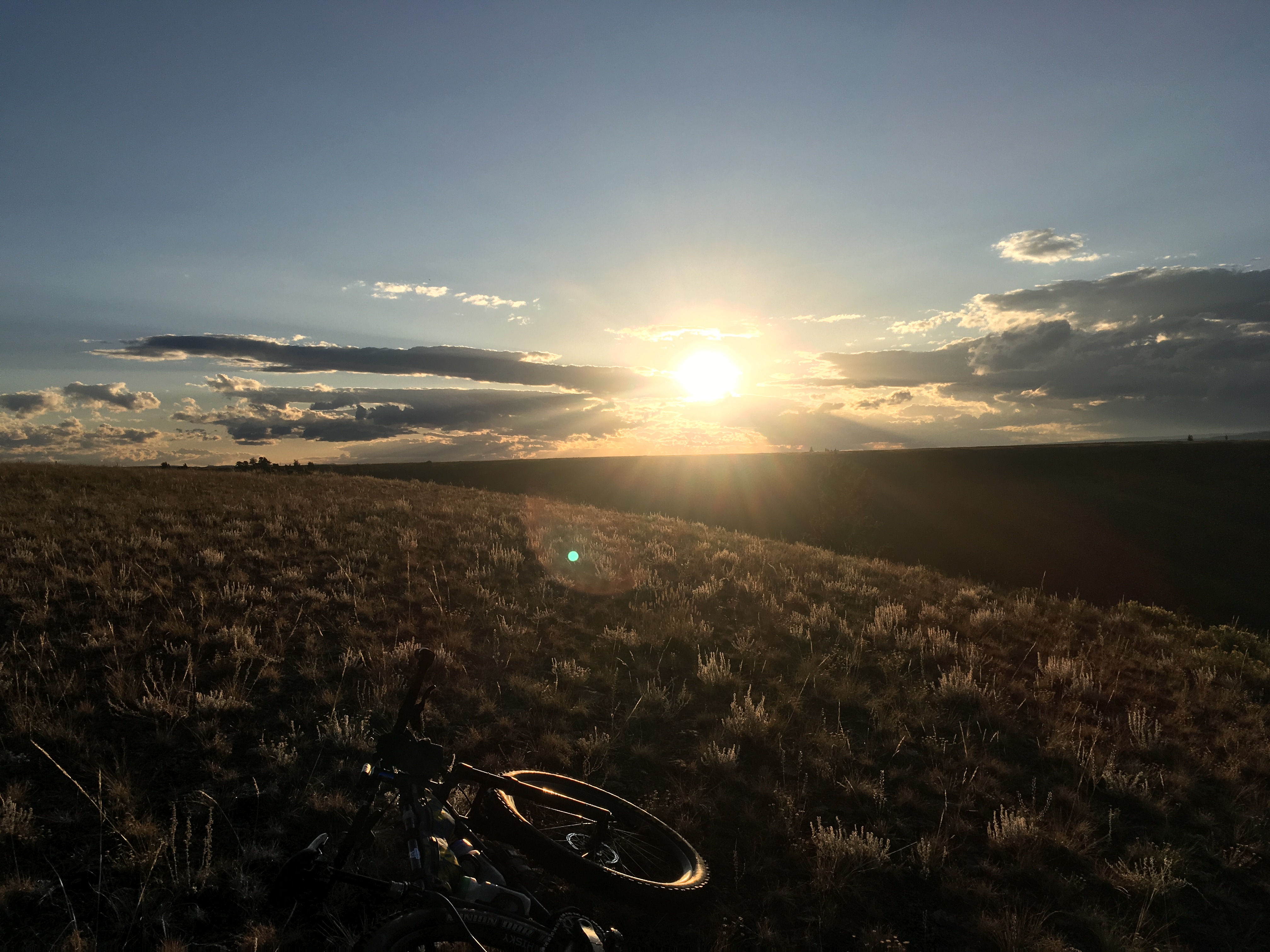 9F9EDBF7-1B1A-48F3-94D9-182141B9F0BC