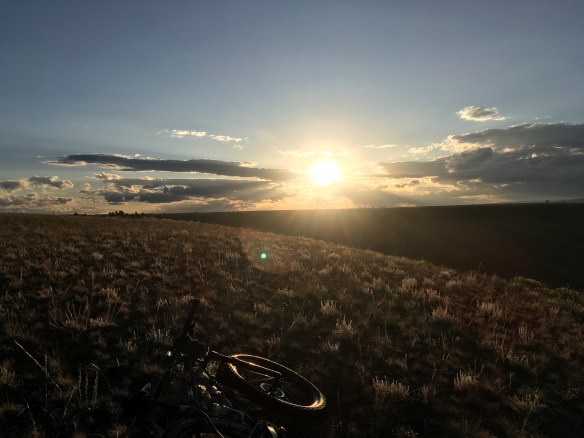 9F9EDBF7-1B1A-48F3-94D9-182141B9F0BC